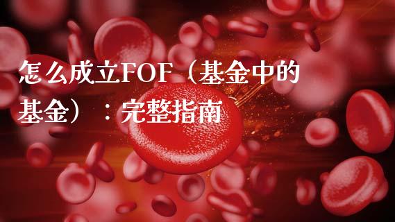 怎么成立FOF（基金中的基金）：完整指南_https://cj.lansai.wang_保险问答_第1张