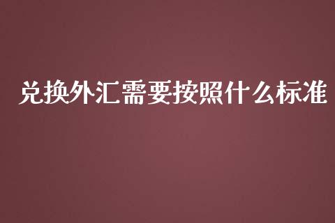 兑换外汇需要按照什么标准_https://cj.lansai.wang_财经问答_第1张