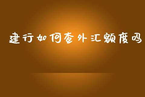 建行如何查外汇额度吗_https://cj.lansai.wang_财经问答_第1张