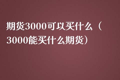 期货3000可以买什么（3000能买什么期货）_https://cj.lansai.wang_保险问答_第1张