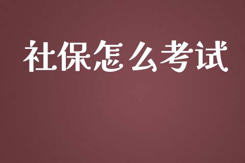 社保怎么考试_https://cj.lansai.wang_保险问答_第1张