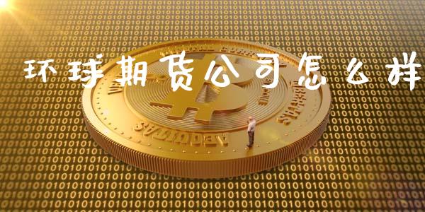 环球期货公司怎么样_https://cj.lansai.wang_期货问答_第1张