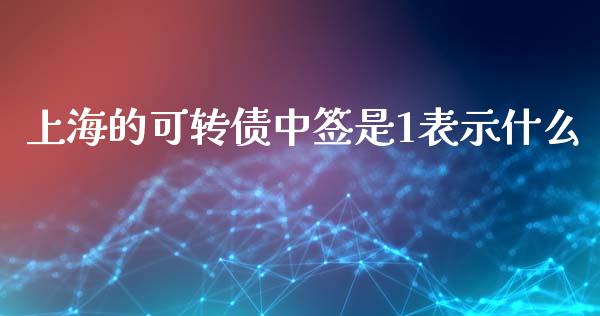 上海的可转债中签是1表示什么_https://cj.lansai.wang_股市问答_第1张