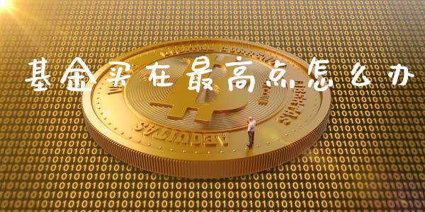 基金买在最高点怎么办_https://cj.lansai.wang_财经百问_第1张