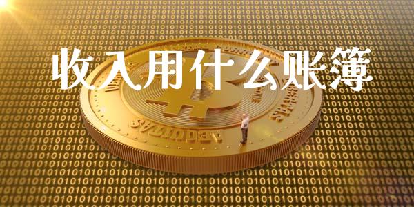 收入用什么账簿_https://cj.lansai.wang_期货问答_第1张