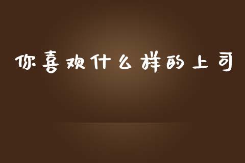 你喜欢什么样的上司_https://cj.lansai.wang_金融问答_第1张