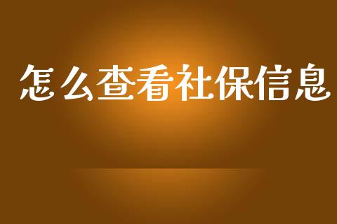 怎么查看社保信息_https://cj.lansai.wang_保险问答_第1张