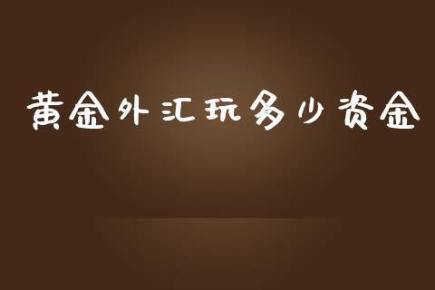 黄金外汇玩多少资金_https://cj.lansai.wang_期货问答_第1张