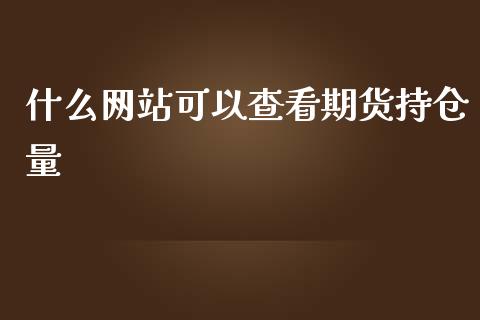 什么网站可以查看期货持仓量_https://cj.lansai.wang_金融问答_第1张