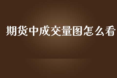 期货中成交量图怎么看_https://cj.lansai.wang_会计问答_第1张