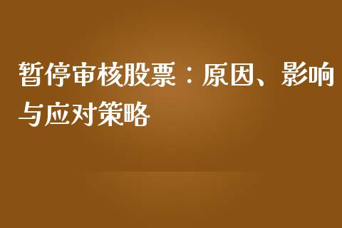 暂停审核股票：原因、影响与应对策略_https://cj.lansai.wang_理财问答_第1张