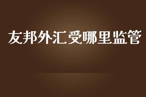 友邦外汇受哪里监管_https://cj.lansai.wang_财经问答_第1张