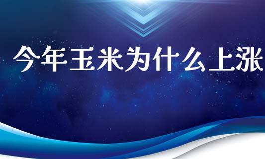 今年玉米为什么上涨_https://cj.lansai.wang_期货问答_第1张