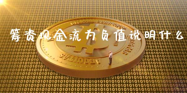 筹资现金流为负值说明什么_https://cj.lansai.wang_会计问答_第1张