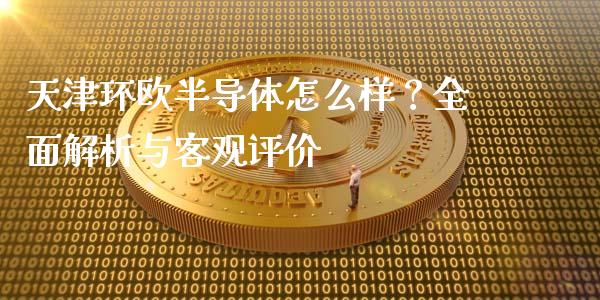 天津环欧半导体怎么样？全面解析与客观评价_https://cj.lansai.wang_财经百问_第1张