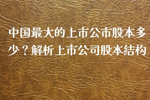 中国最大的上市公市股本多少？解析上市公司股本结构_https://cj.lansai.wang_财经百问_第1张