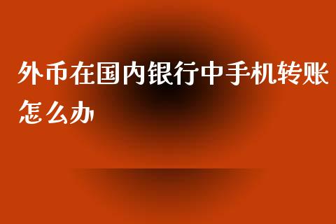 外币在国内银行中手机转账怎么办_https://cj.lansai.wang_金融问答_第1张