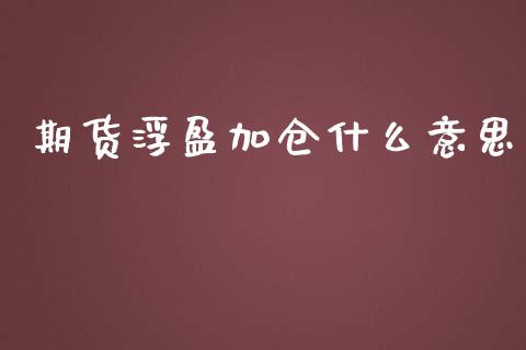 期货浮盈加仓什么意思_https://cj.lansai.wang_保险问答_第1张