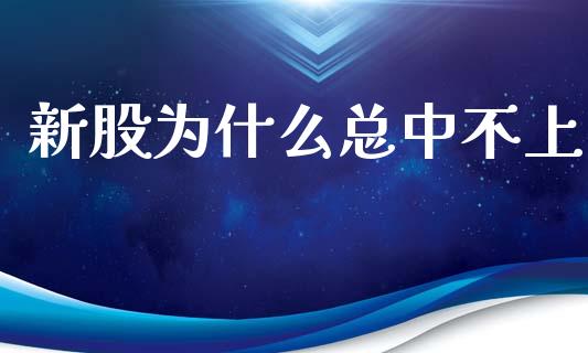 新股为什么总中不上_https://cj.lansai.wang_股市问答_第1张