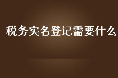 税务实名登记需要什么_https://cj.lansai.wang_会计问答_第1张