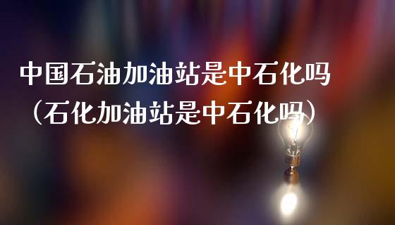 中国石油加油站是中石化吗（石化加油站是中石化吗）_https://cj.lansai.wang_金融问答_第1张