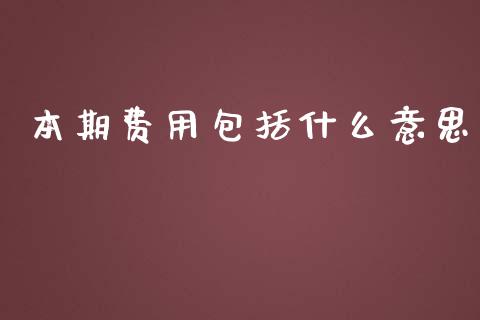 本期费用包括什么意思_https://cj.lansai.wang_会计问答_第1张