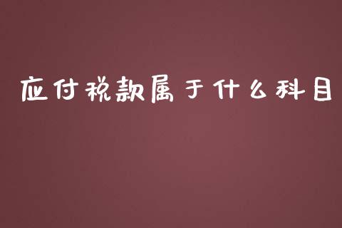 应付税款属于什么科目_https://cj.lansai.wang_会计问答_第1张