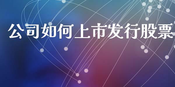 公司如何上市发行股票_https://cj.lansai.wang_金融问答_第1张