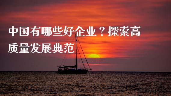 中国有哪些好企业？探索高质量发展典范_https://cj.lansai.wang_期货问答_第1张