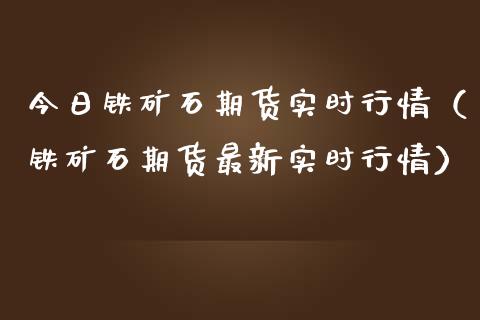 今日铁矿石期货实时行情（铁矿石期货最新实时行情）_https://cj.lansai.wang_期货问答_第1张