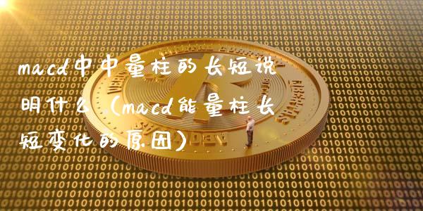 macd中中量柱的长短说明什么（macd能量柱长短变化的原因）_https://cj.lansai.wang_财经百问_第1张