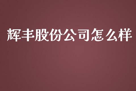 辉丰股份公司怎么样_https://cj.lansai.wang_股市问答_第1张