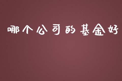 哪个公司的基金好_https://cj.lansai.wang_期货问答_第1张