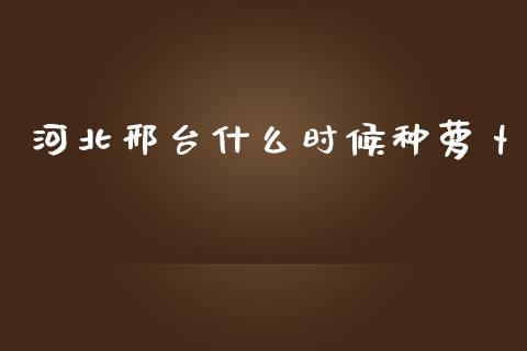 河北邢台什么时候种萝卜_https://cj.lansai.wang_股市问答_第1张