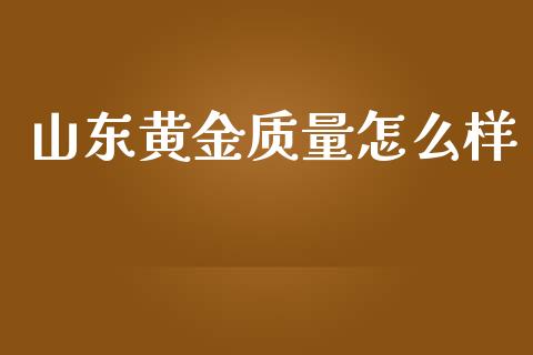 山东黄金质量怎么样_https://cj.lansai.wang_理财问答_第1张