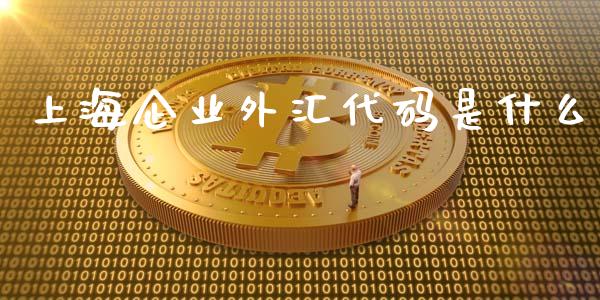 上海企业外汇代码是什么_https://cj.lansai.wang_财经问答_第1张