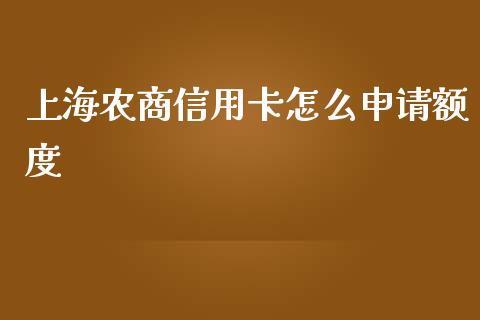 上海农商信用卡怎么申请额度_https://cj.lansai.wang_金融问答_第1张