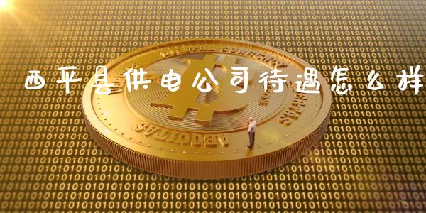 西平县供电公司待遇怎么样_https://cj.lansai.wang_会计问答_第1张