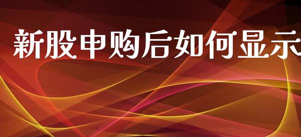 新股申购后如何显示_https://cj.lansai.wang_理财问答_第1张