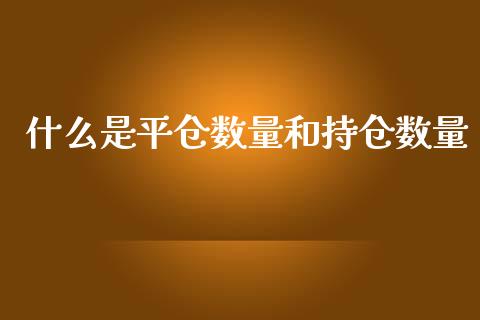 什么是平仓数量和持仓数量_https://cj.lansai.wang_期货问答_第1张