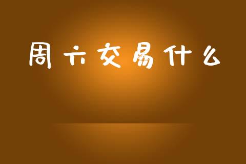 周六交易什么_https://cj.lansai.wang_会计问答_第1张