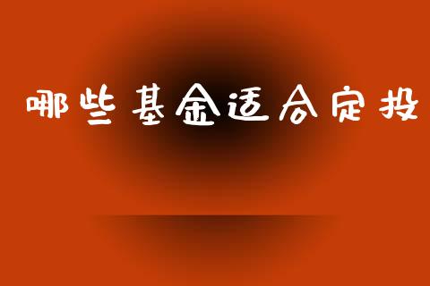 哪些基金适合定投_https://cj.lansai.wang_会计问答_第1张