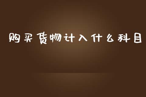 购买货物计入什么科目_https://cj.lansai.wang_会计问答_第1张