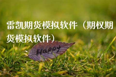 雷凯期货模拟软件（期权期货模拟软件）_https://cj.lansai.wang_金融问答_第1张