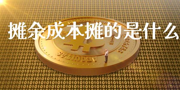 摊余成本摊的是什么_https://cj.lansai.wang_会计问答_第1张