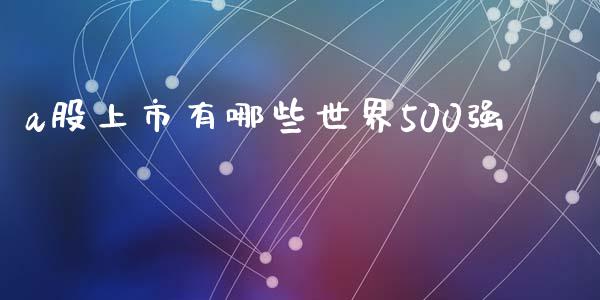 a股上市有哪些世界500强_https://cj.lansai.wang_股市问答_第1张