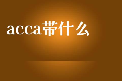 acca带什么_https://cj.lansai.wang_会计问答_第1张