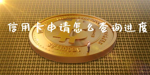 信用卡申请怎么查询进度_https://cj.lansai.wang_金融问答_第1张