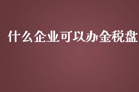 什么企业可以办金税盘_https://cj.lansai.wang_会计问答_第1张