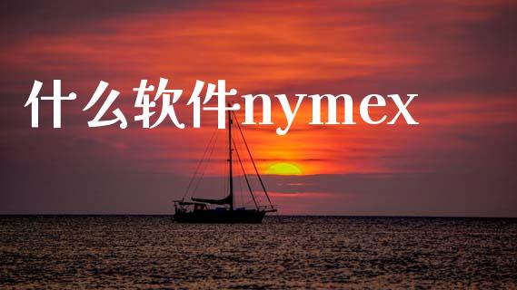 什么软件nymex_https://cj.lansai.wang_保险问答_第1张